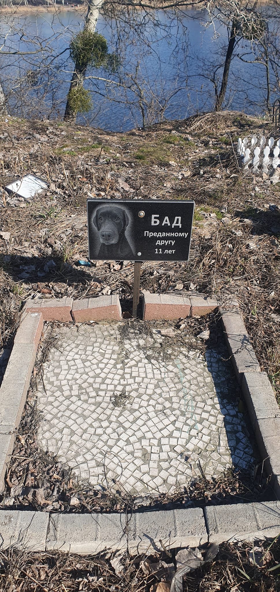 Кладлвище домашніх тварин на Оболоні