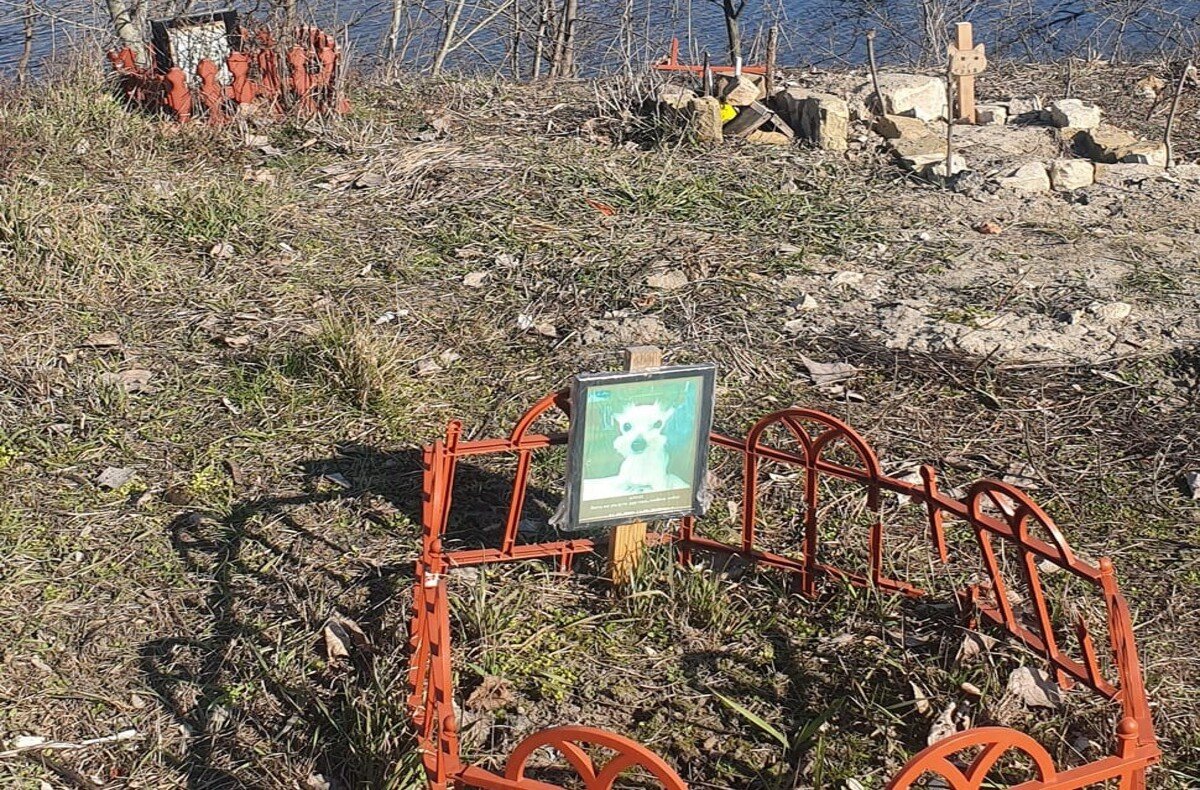 Кладлвище домашніх тварин на Оболоні