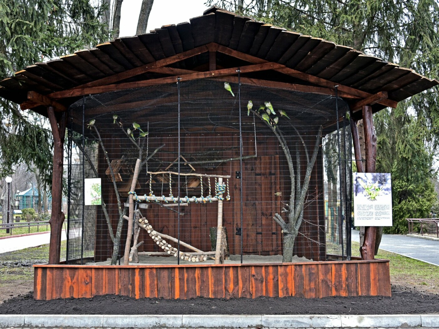 У Київському зоопарку облаштували літні домівки для папуг-монахів
