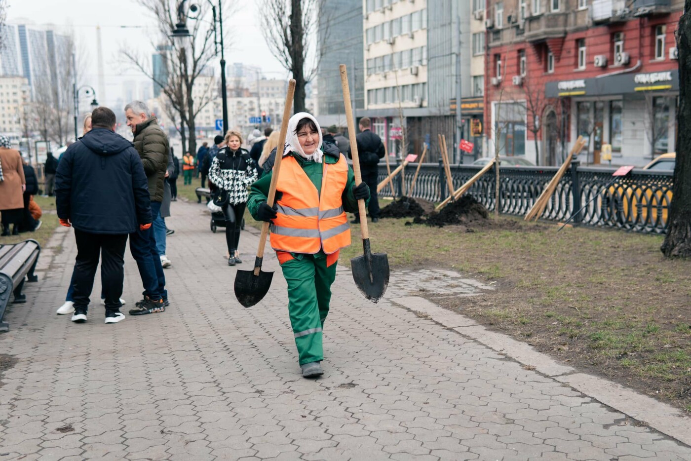 У Києві висадили тополі