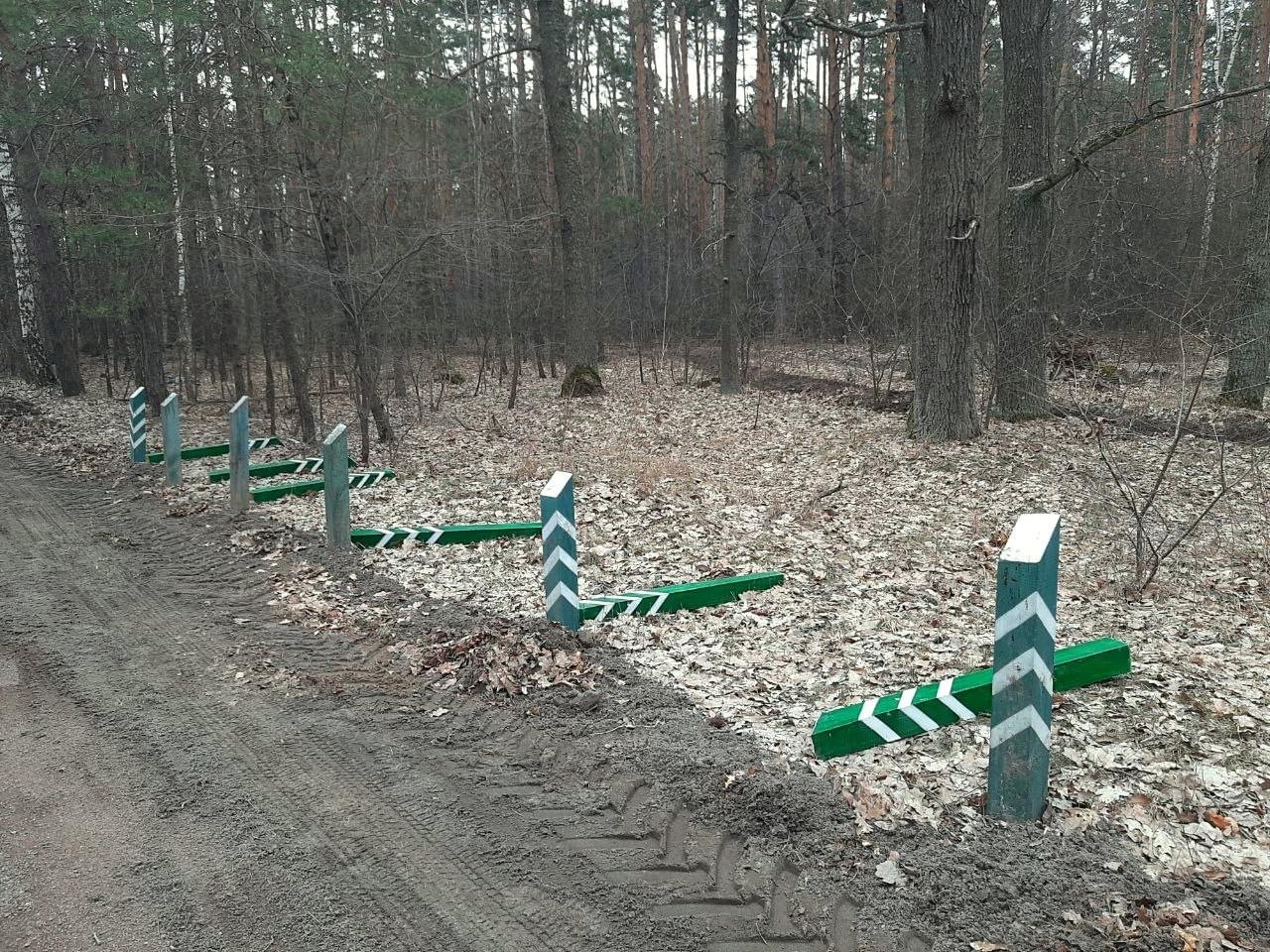 У київських лісах встановлюють антипаркувальні стовпчики