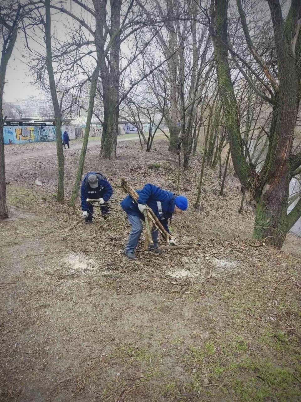 Толока на Позняках