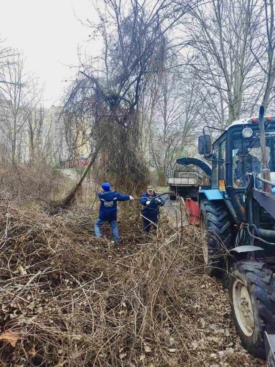 Толока на Позняках