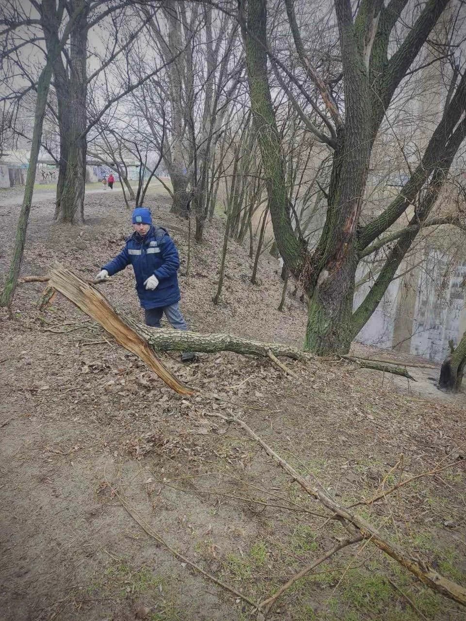 Толока на Позняках