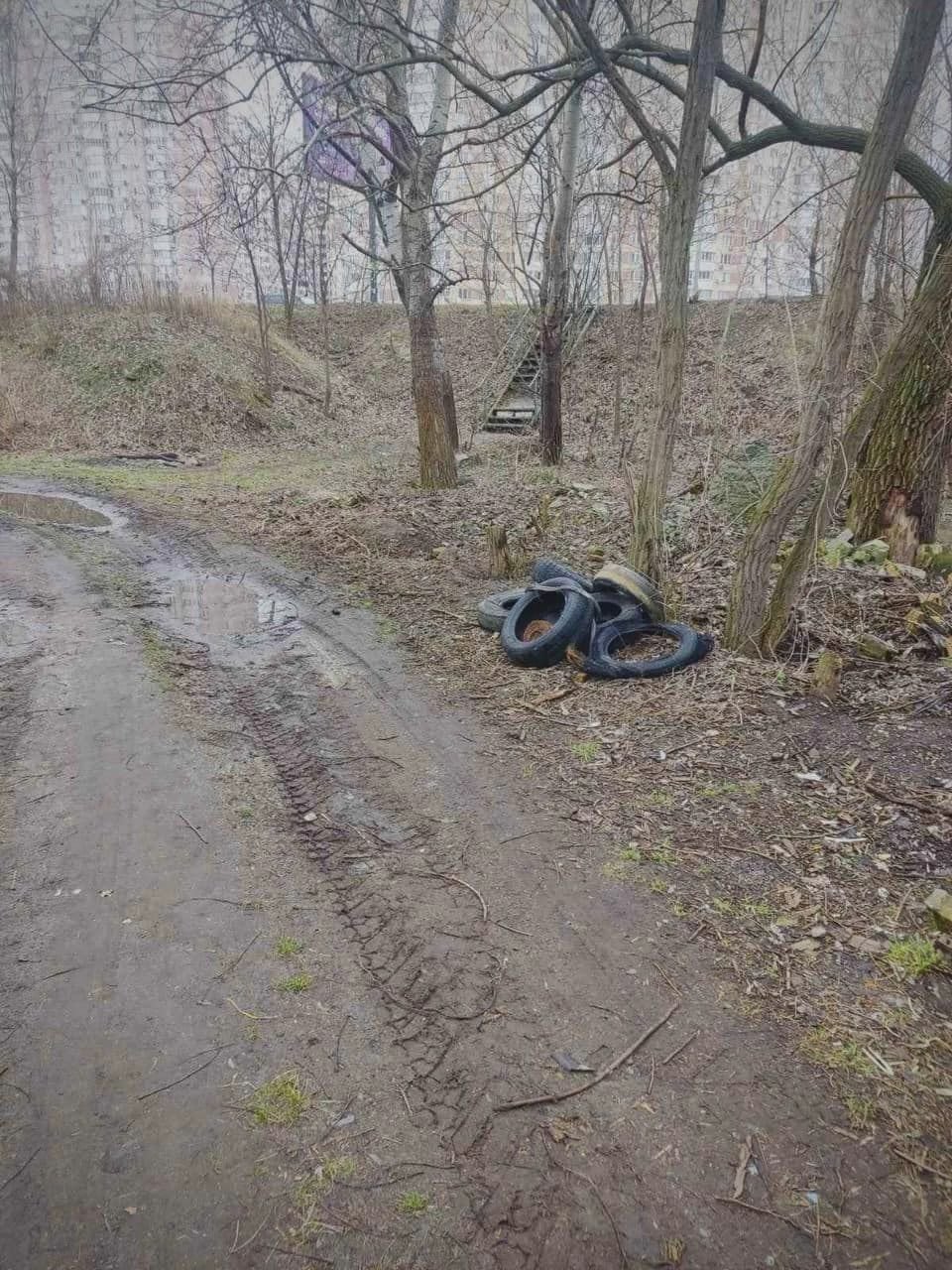 Толока на Позняках