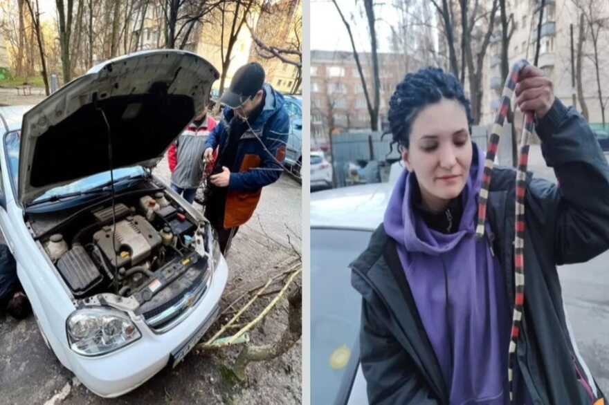 У Києві жінка виявила змію у своєму авто