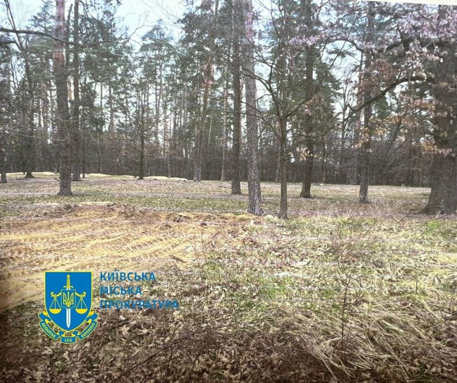 Киянин  пошкодив землі лісового фонду у Святошинському районі