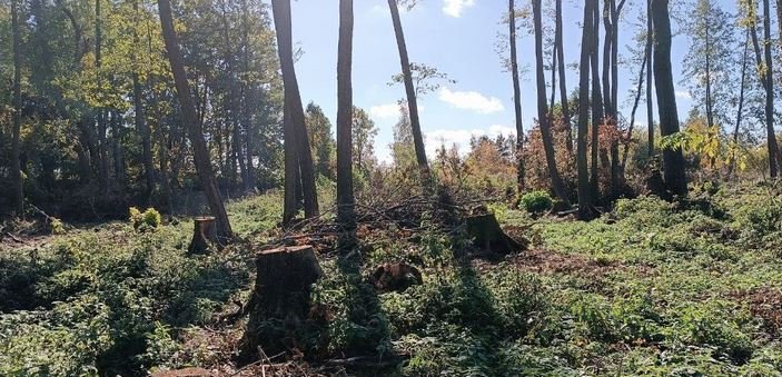 У діяльності підприємства виявлені численні порушення