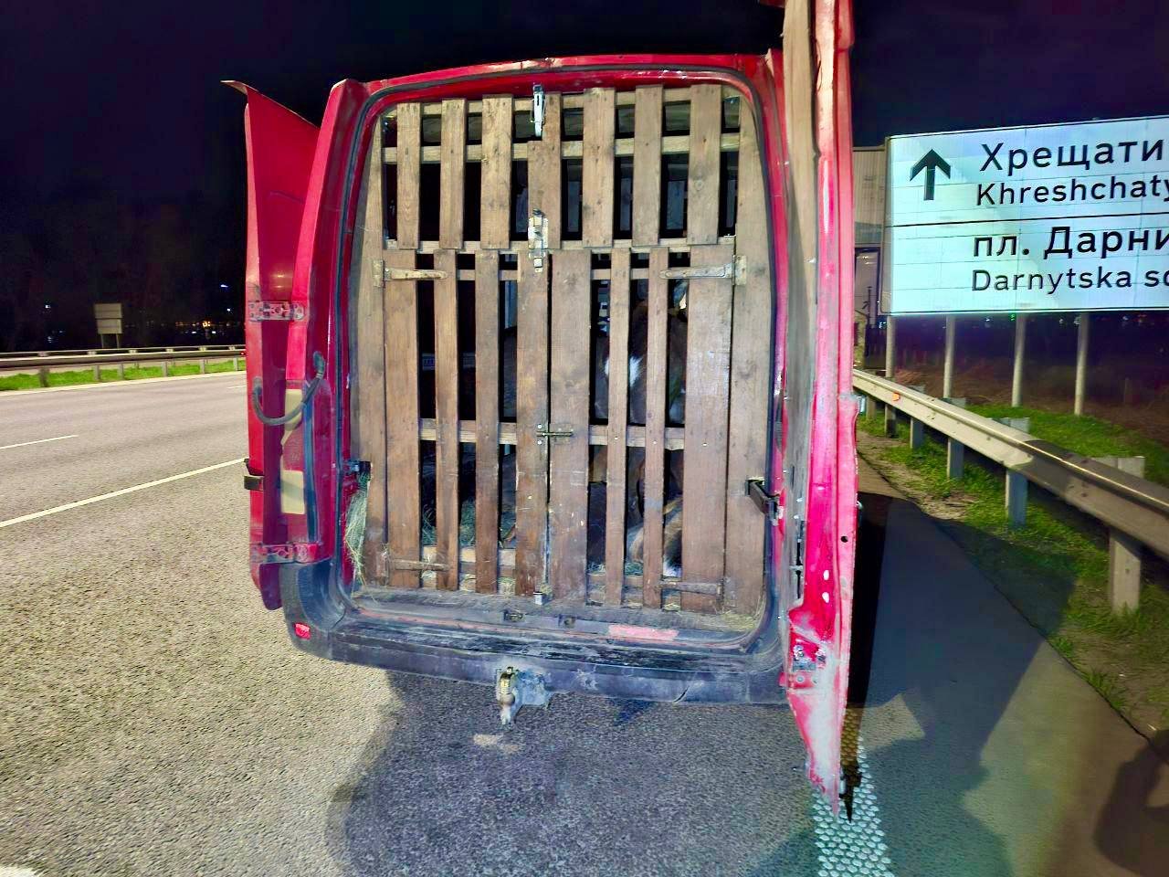 У Києві незаконно перевозили оленів