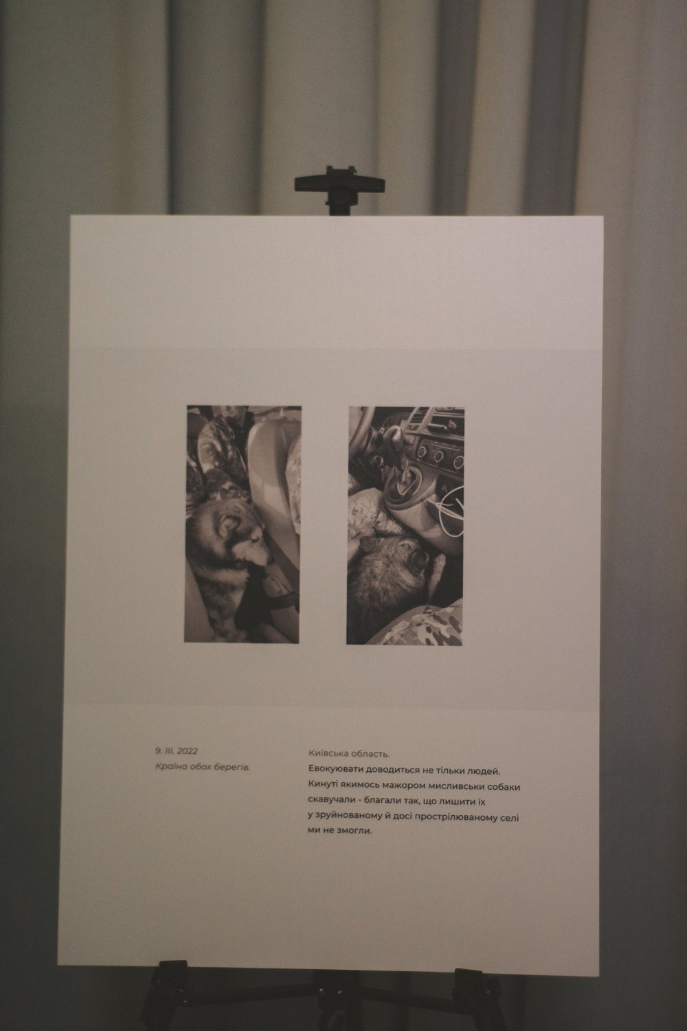 Соціальна виставка 