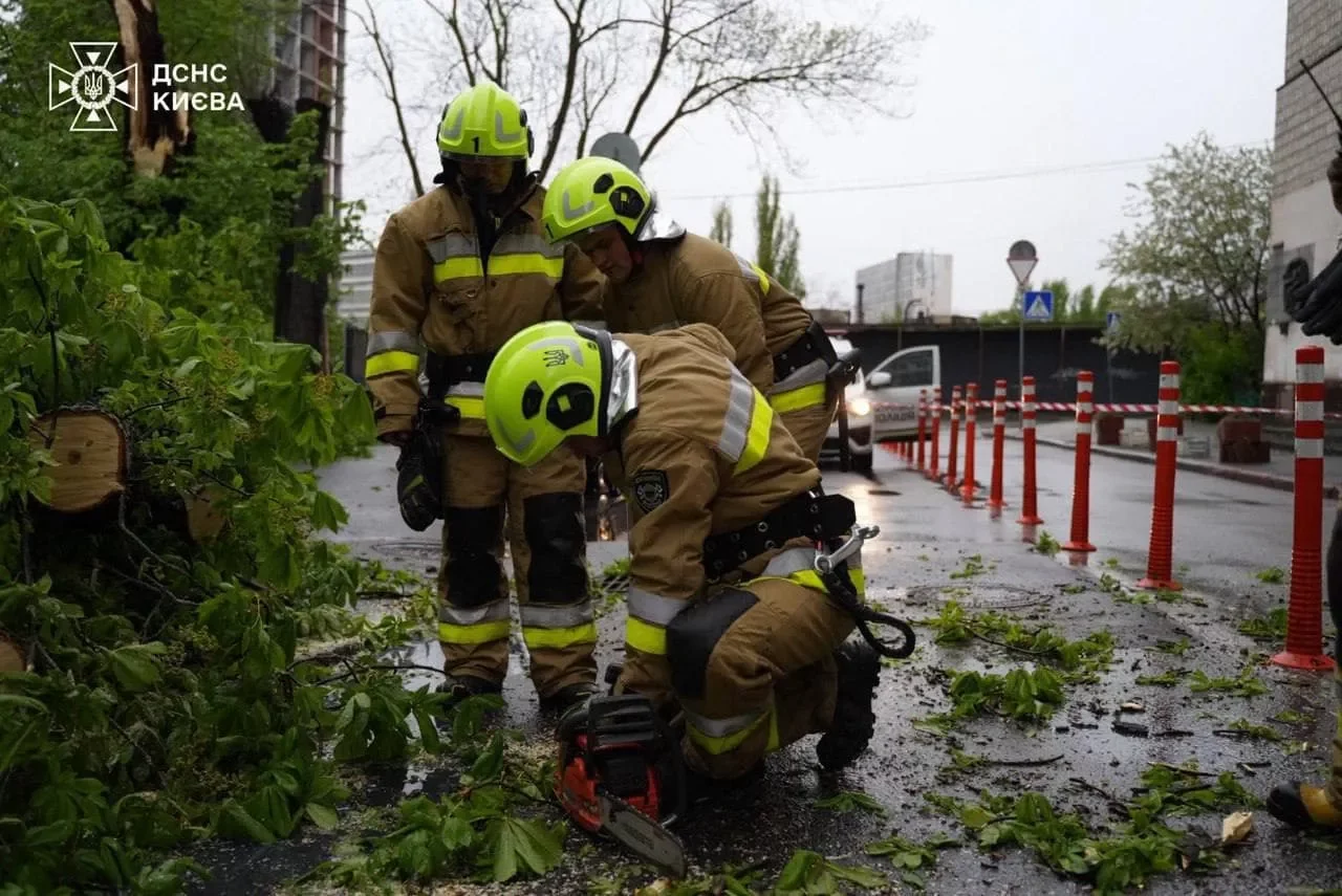 В результате непогоды в Киеве дерево упавшего автомобиля