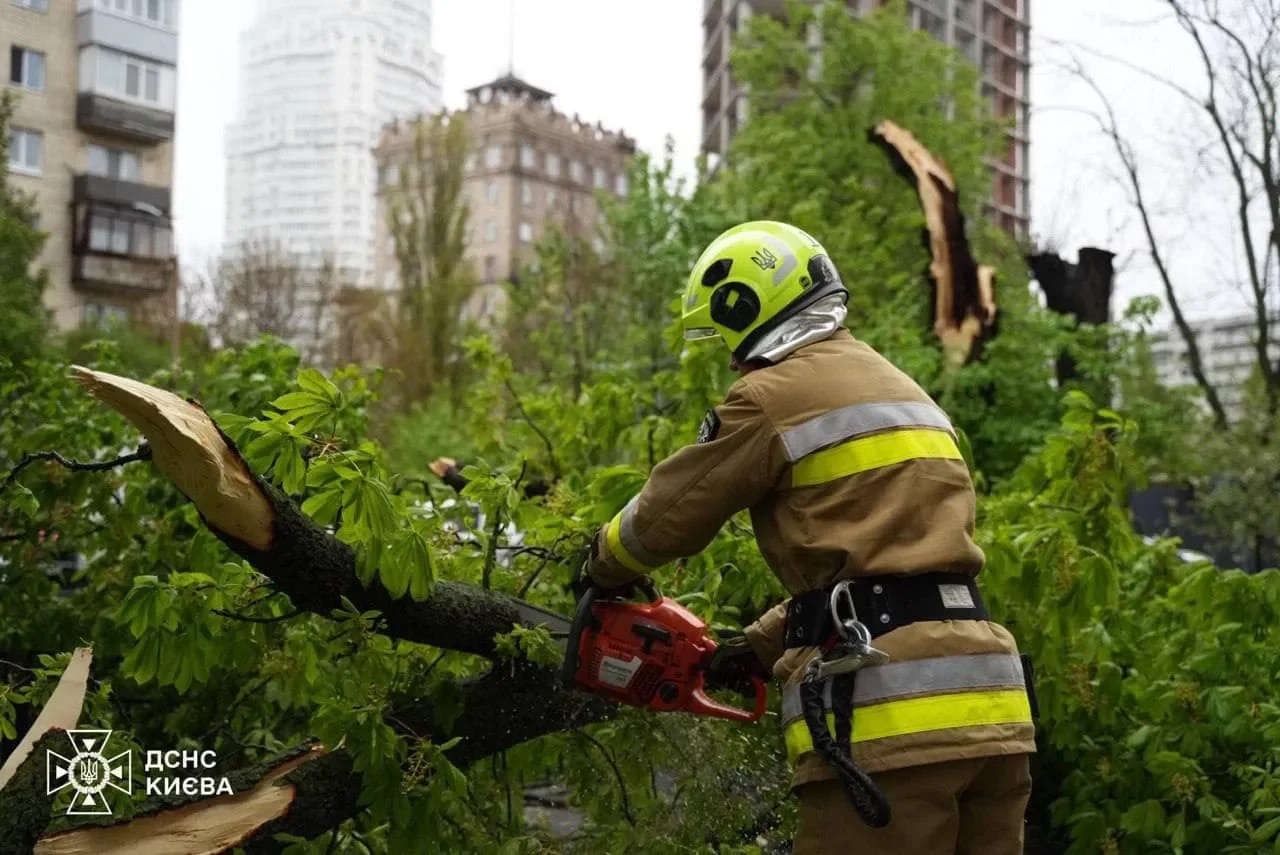 В результате непогоды в Киеве дерево упавшего автомобиля