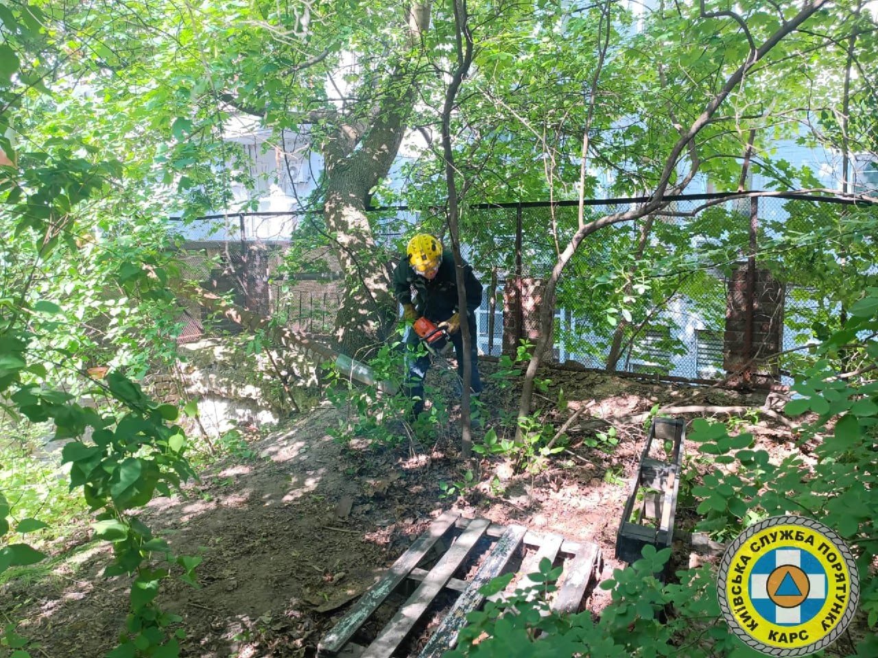 Рятувальників викликали на вулицю Марії Заньковецької
