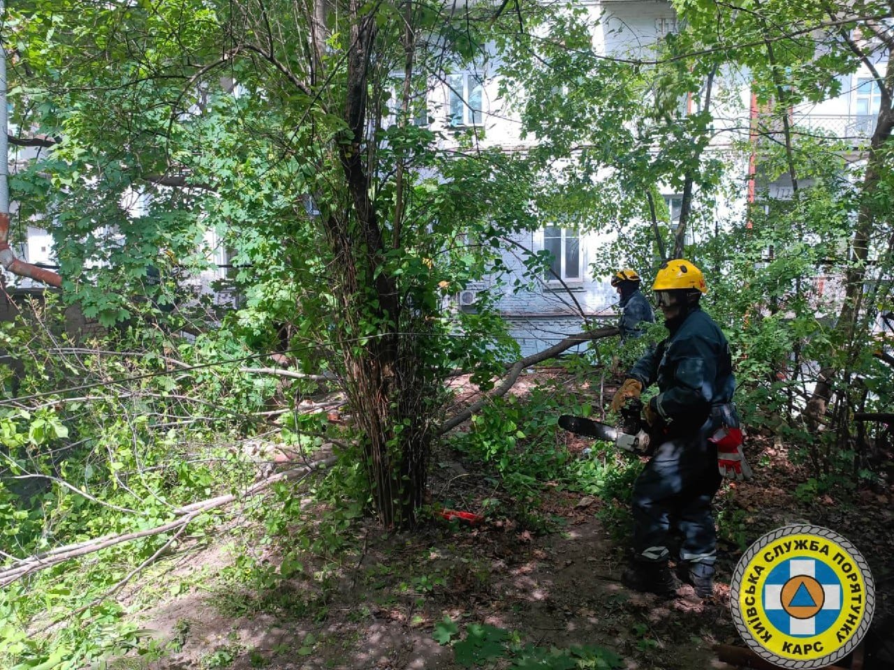 Рятувальників викликали на вулицю Марії Заньковецької