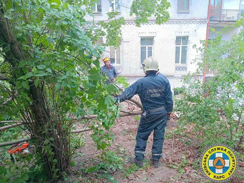 Рятувальників викликали на вулицю Марії Заньковецької
