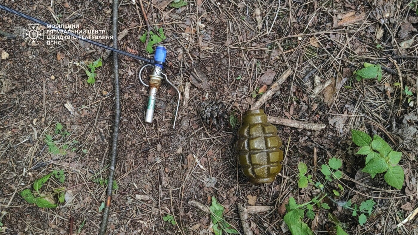 Під Києвом в лісі виявили гранату
