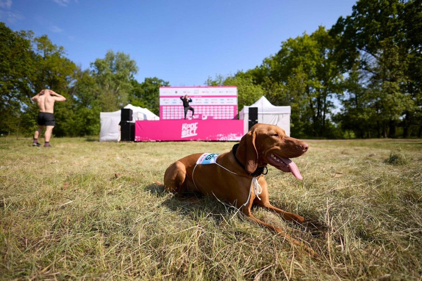 У столиці пройшов забіг із собаками