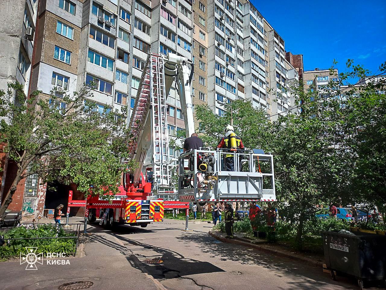 Пожежа в Голосіївському районі