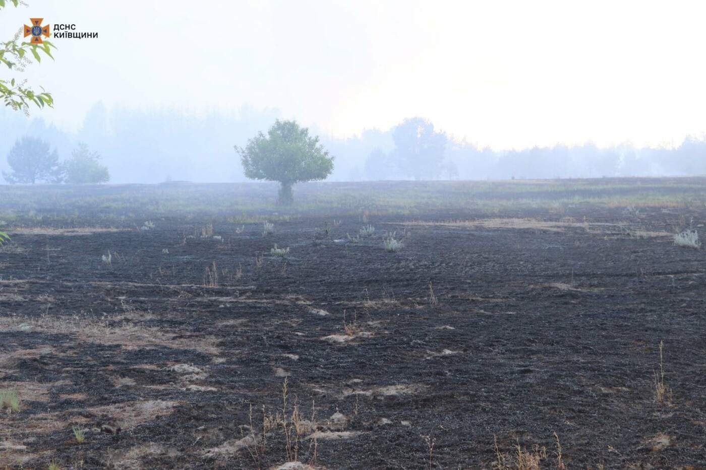 Вогонь гасили 80 рятувальників