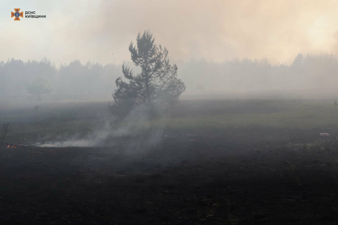 Вогонь гасили 80 рятувальників