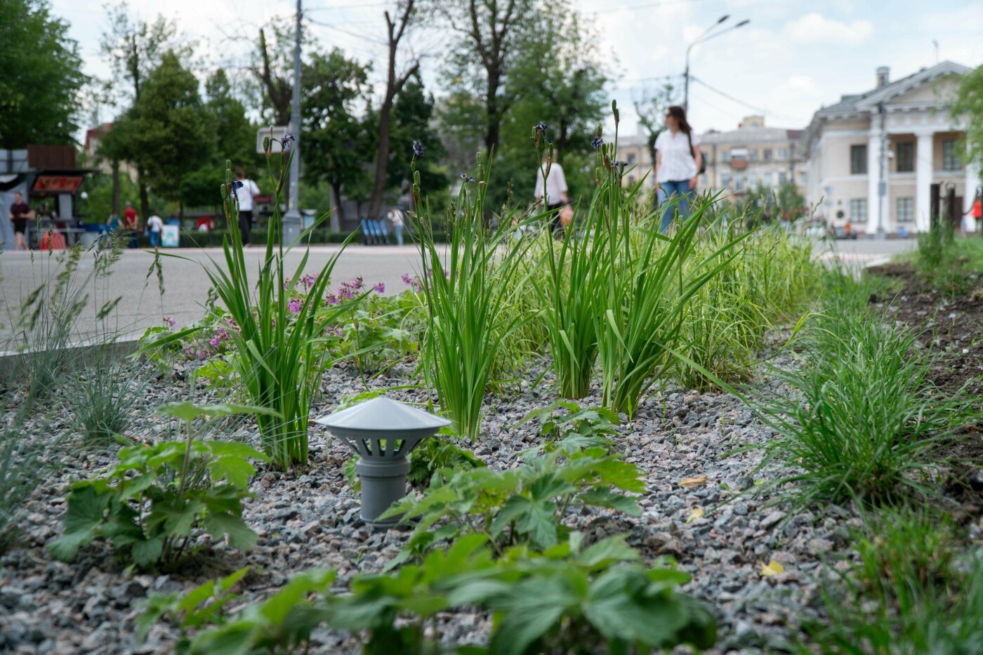У столиці створили перші дощові садки