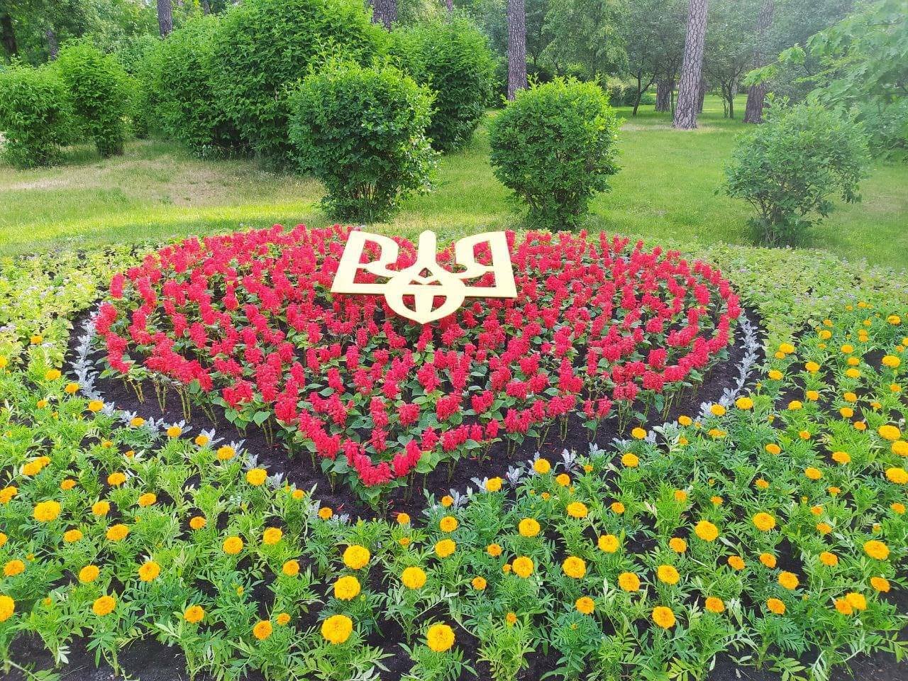 На Дарниці висадили патріотичні квіткові клумби