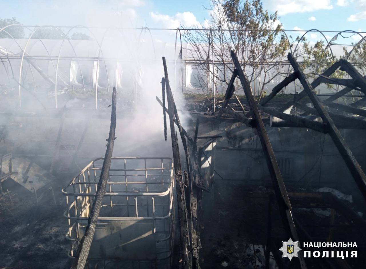 У Київській області згоріла равликова ферма