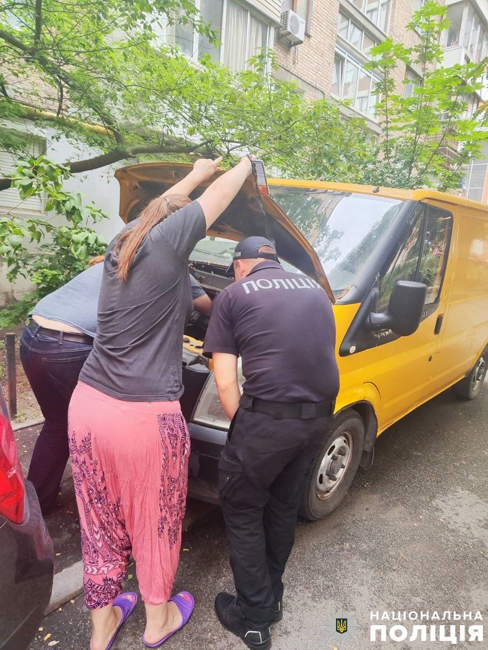З кішечкою все добре, вона вдома