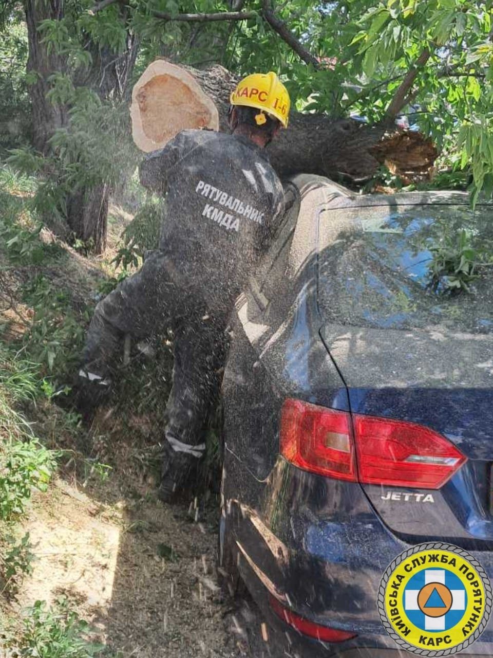 Рятувальники прибрали аварійне дерево