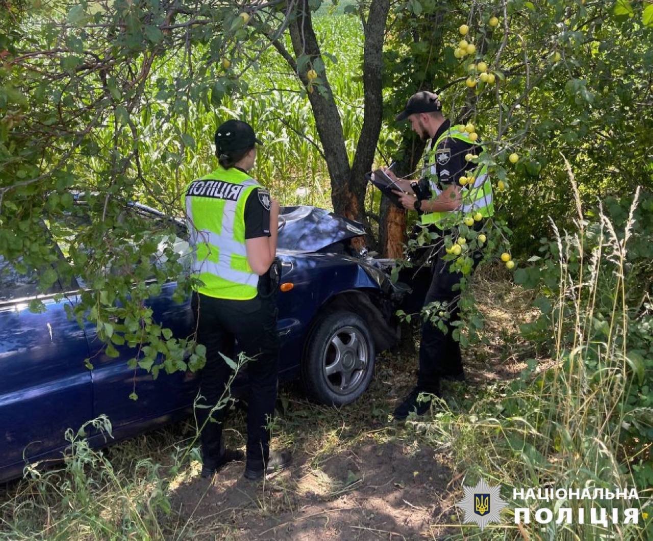 Дідусь не впорався з кермуванням і в'їхав у дерево