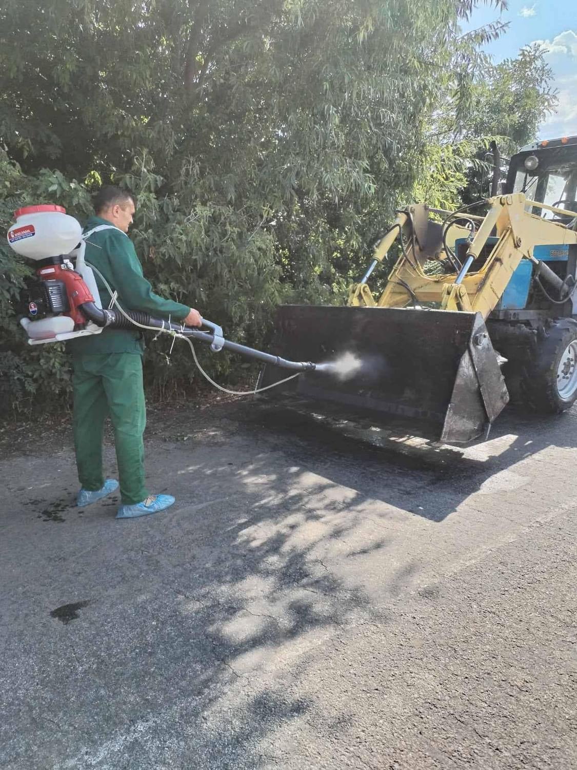 На Київщині в низці районів оголошено карантин через АЧС