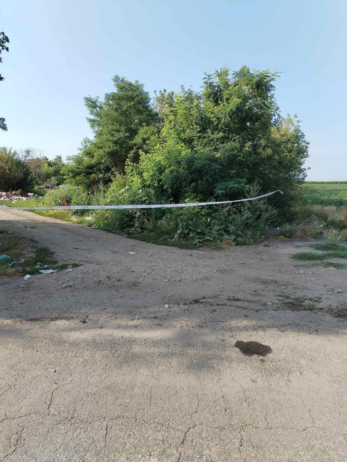 На Київщині в низці районів оголошено карантин через АЧС