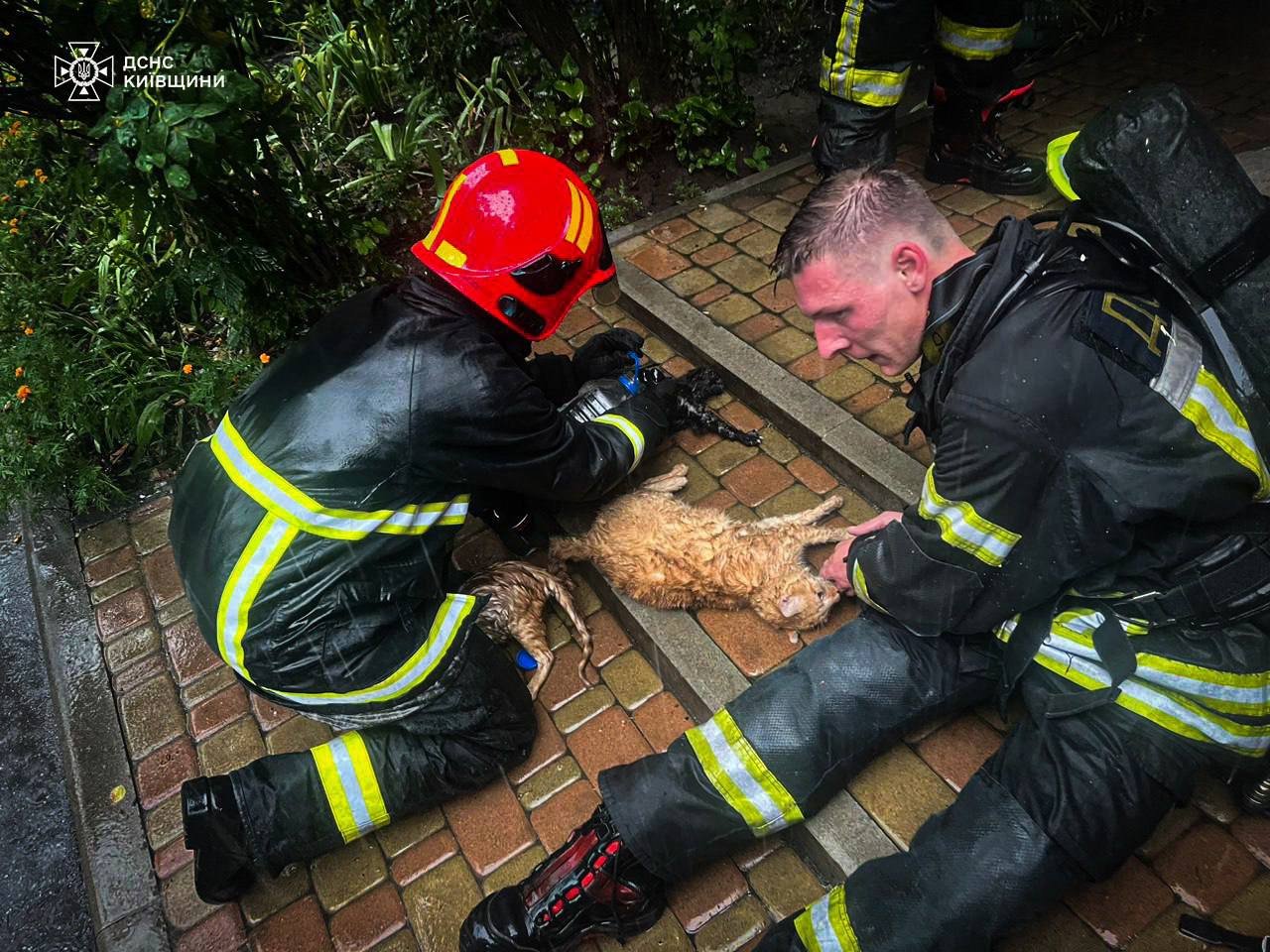 У Київській області сталась пожежа в багатоповерхівці