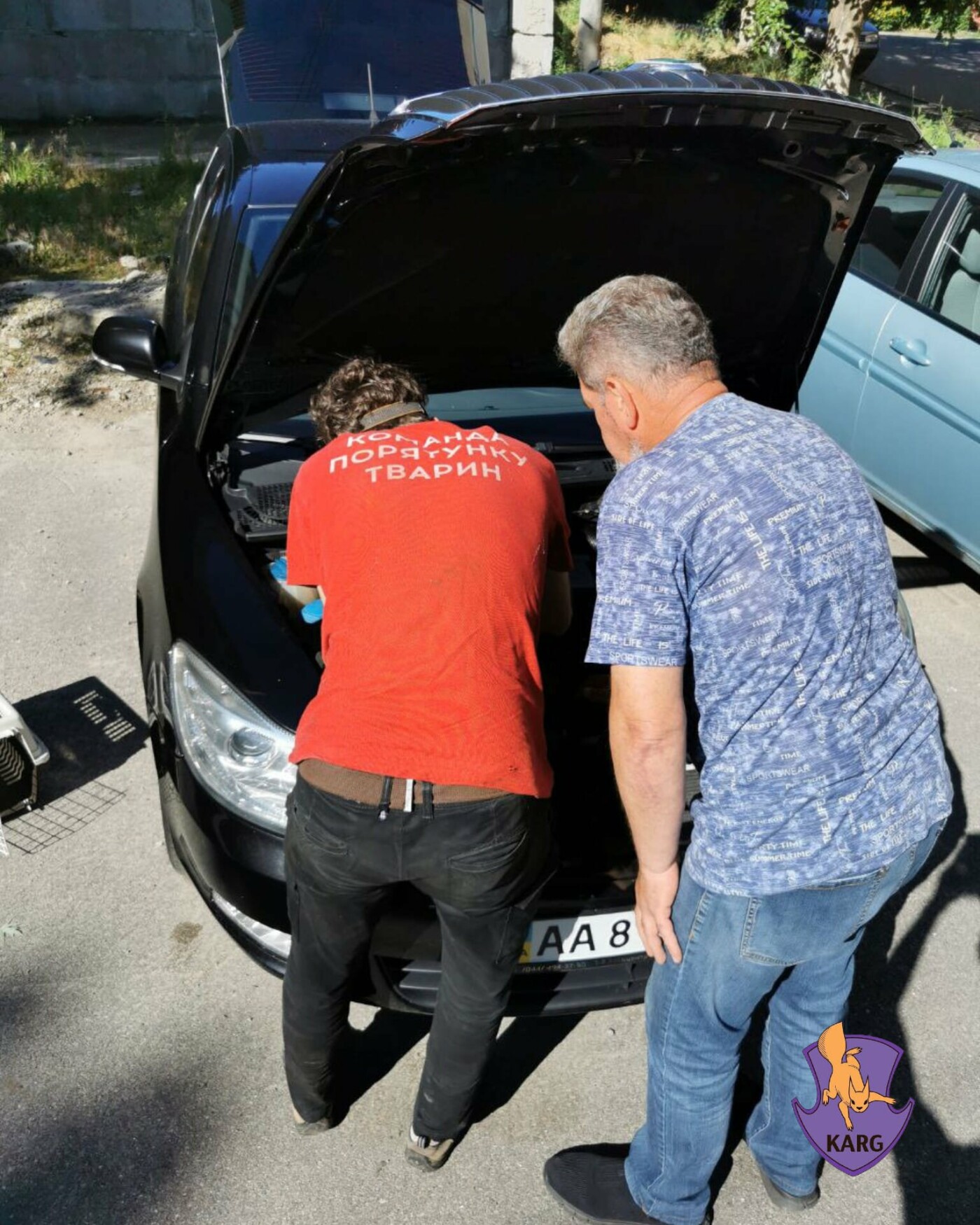 У кошеняти є й рани, у набряк