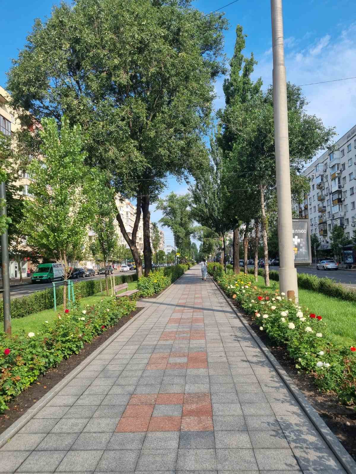 Довжина алеї - майже пів кілометра