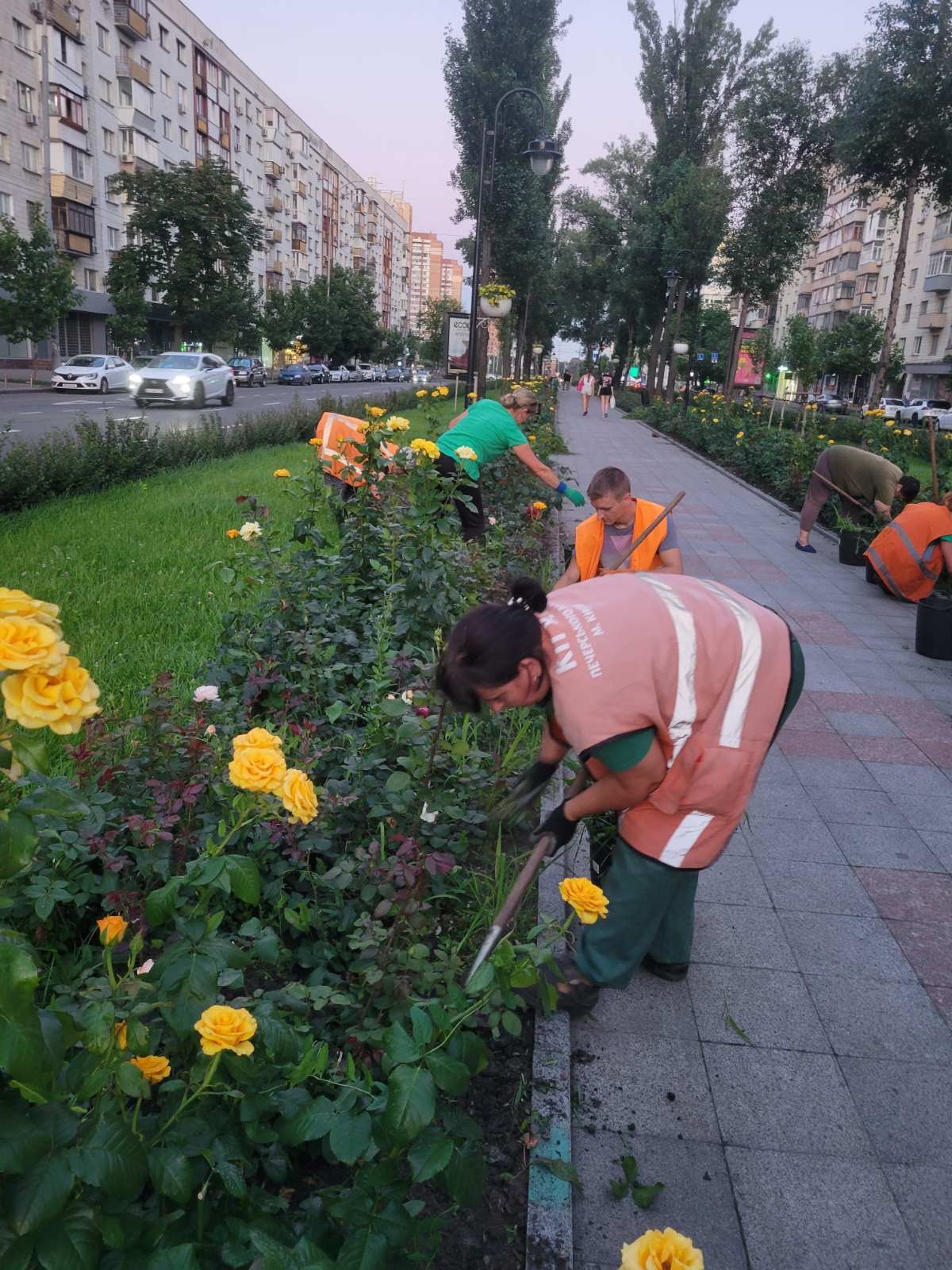 Довжина алеї - майже пів кілометра