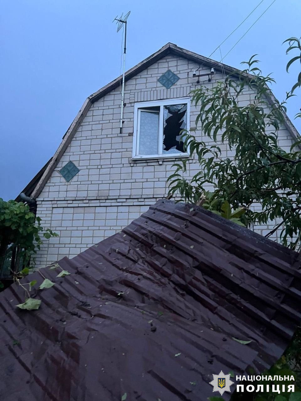 Фото: поліція Київщини