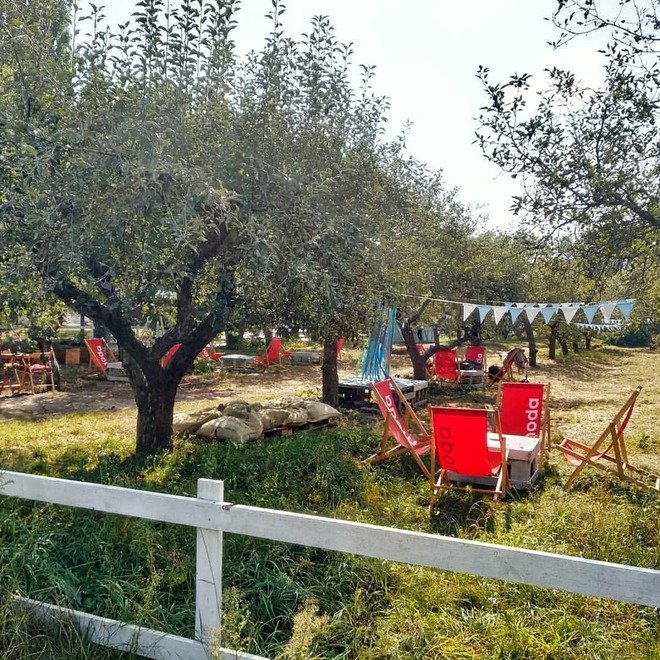 BBQ зони на ВДНГ