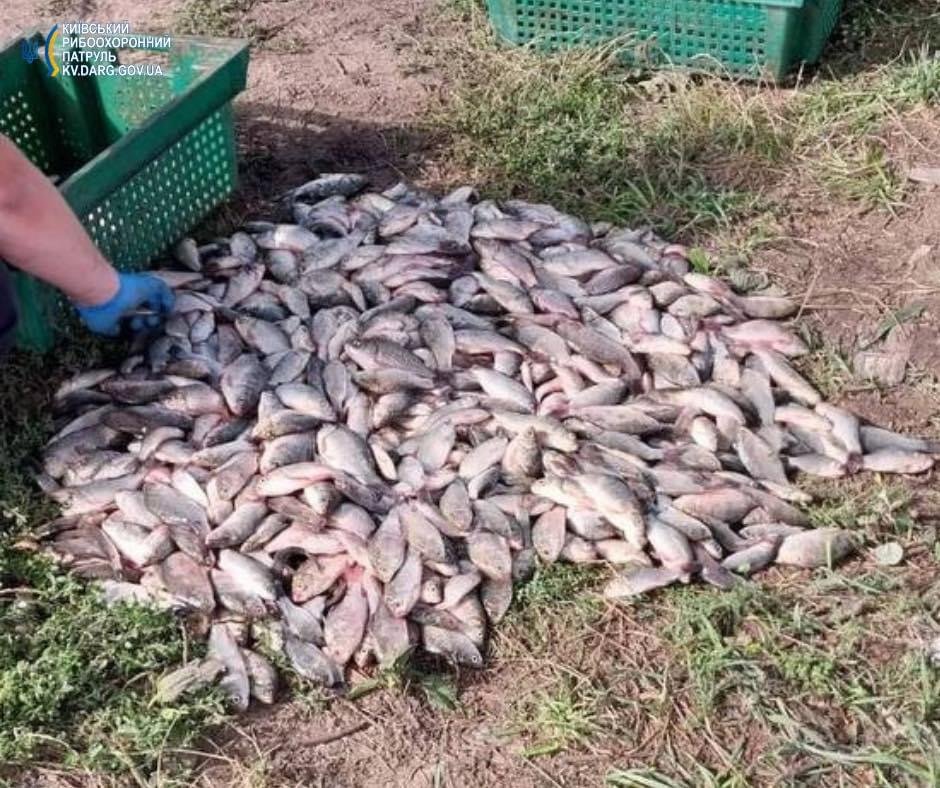 На Київщині чоловік наловив риби на майже 1,5 млн гривень
