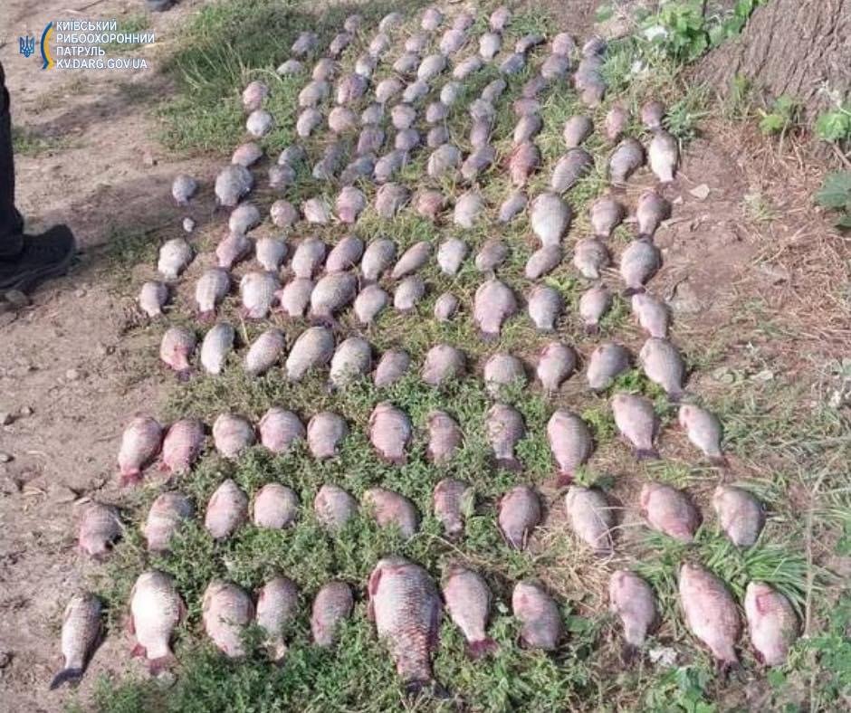 На Київщині чоловік наловив риби на майже 1,5 млн гривень
