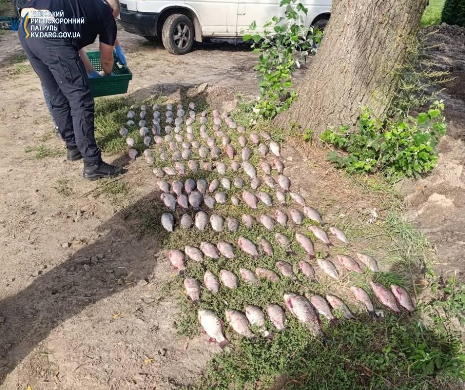 На Київщині чоловік наловив риби на майже 1,5 млн гривень