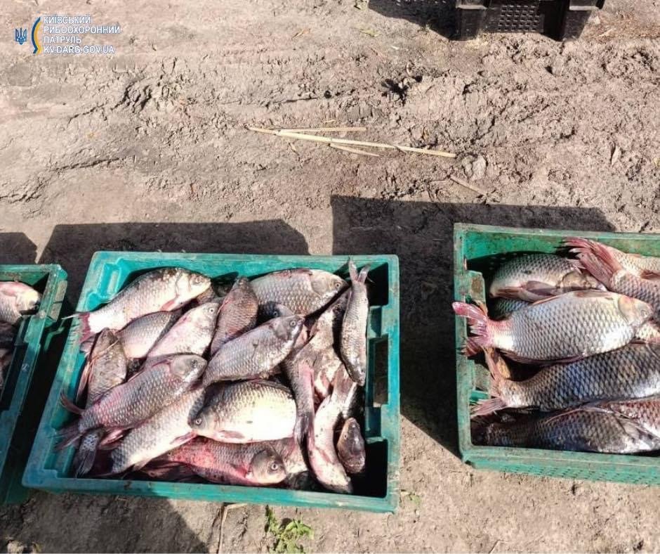 На Київщині чоловік наловив риби на майже 1,5 млн гривень