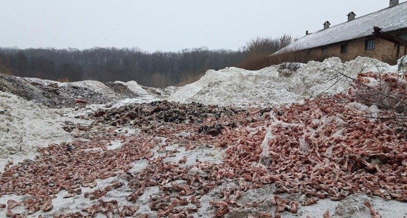 Збитки від забруднення перевищують мільйон гривень