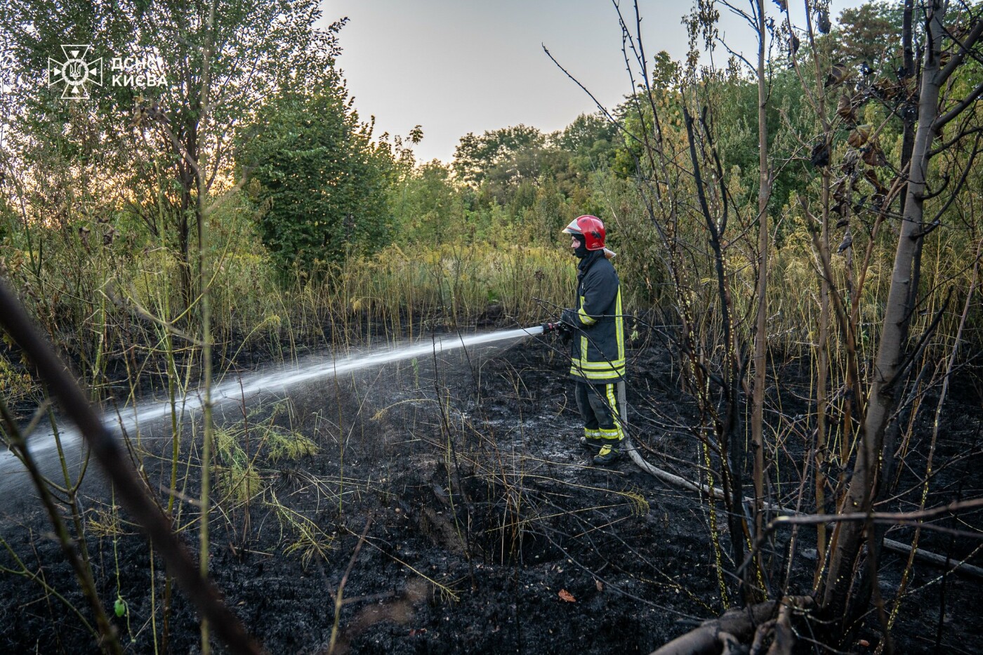 На щастя, обійшлося без постраждалих