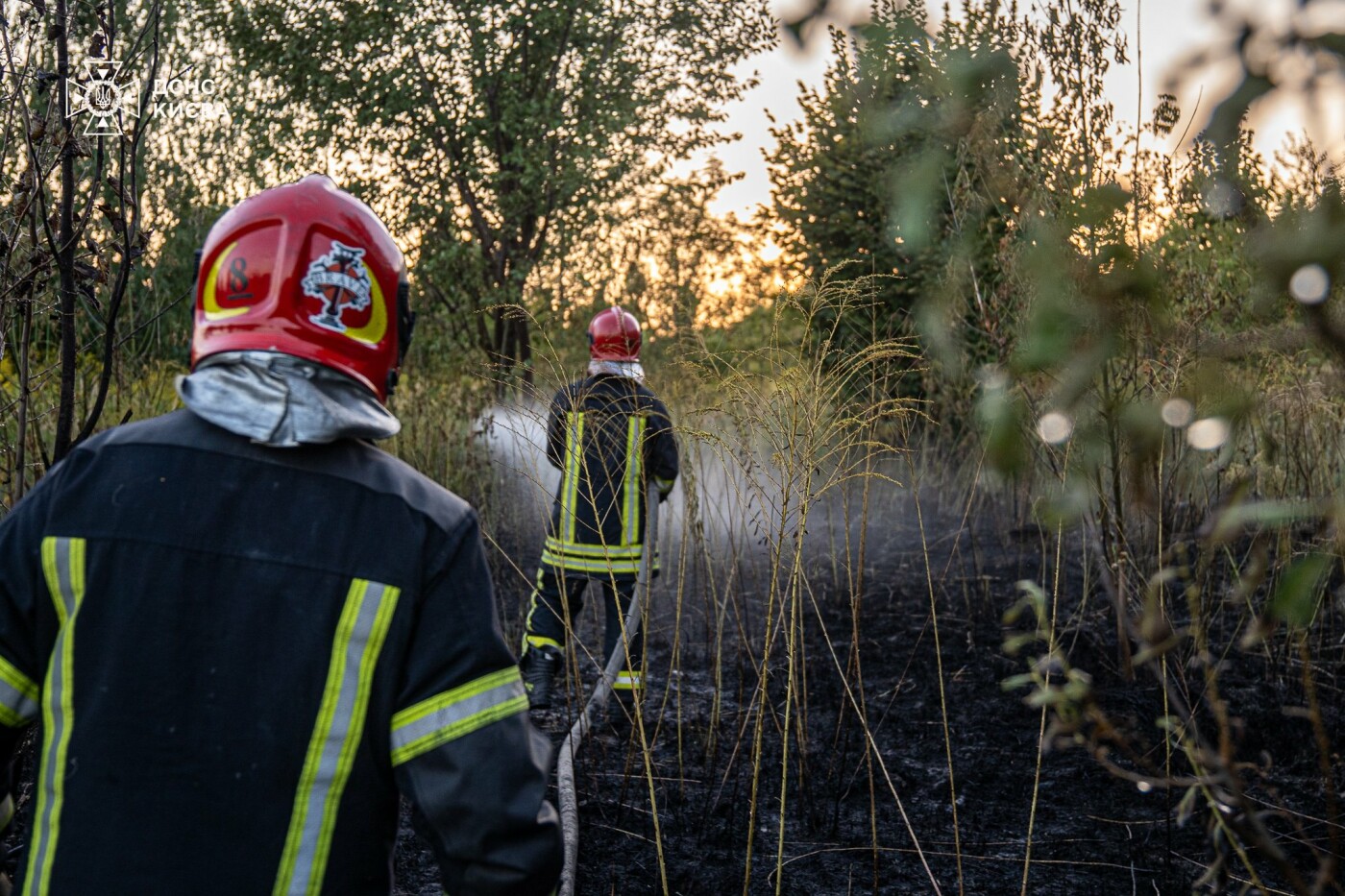 На щастя, обійшлося без постраждалих