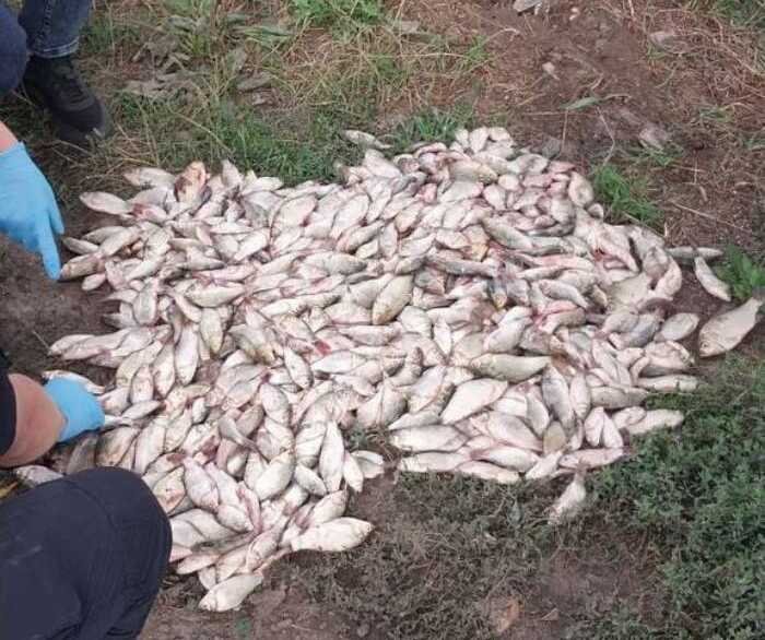 У Київській області затримали 