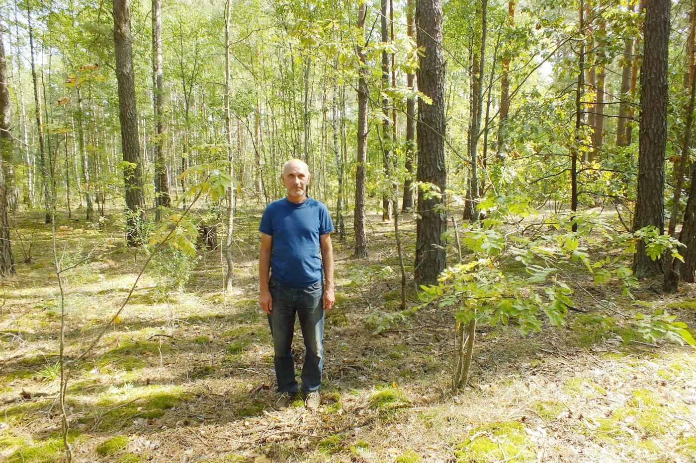 Плаун колючий