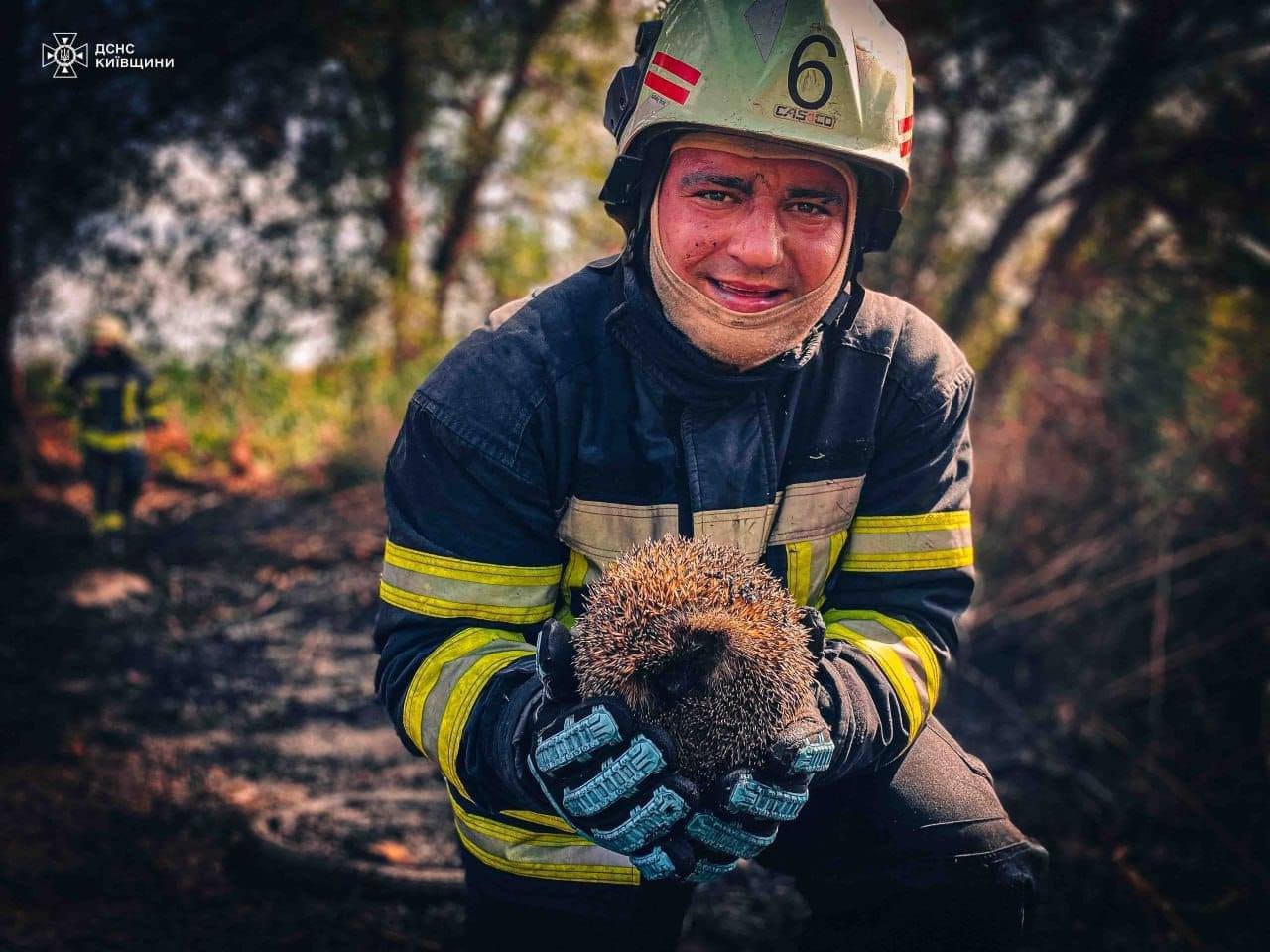 На Київщині бійці ДСНС врятували з пожежі їжачка