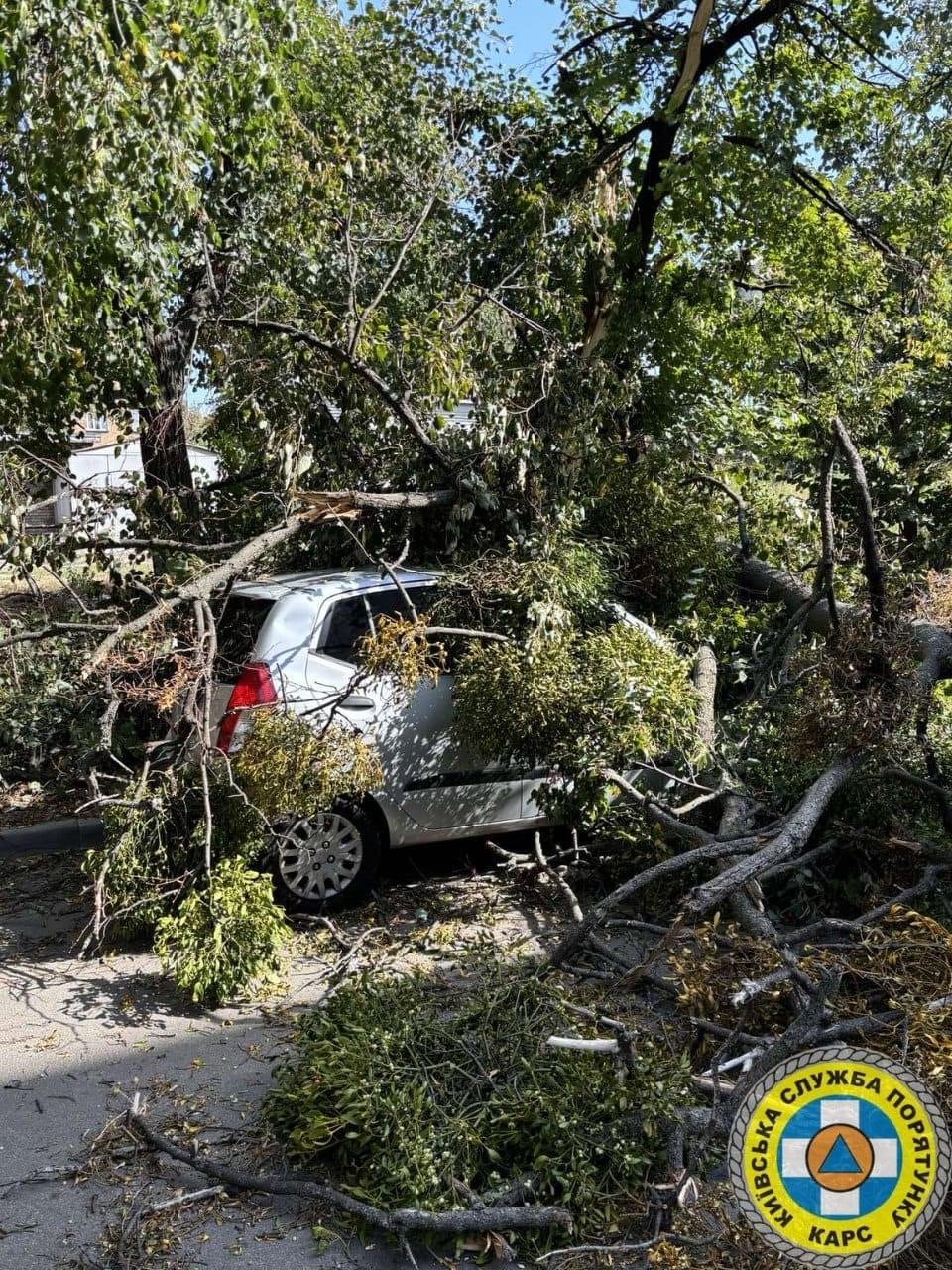 У Києві рятувальники ліквідували наслідки негоди