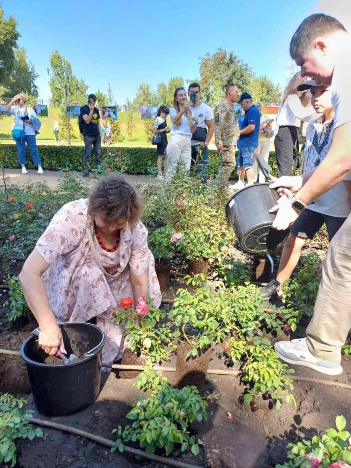 У Києві висадили троянди на честь 453-річчя міста Бахмут